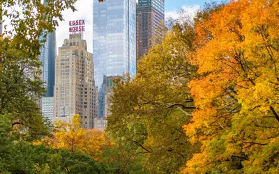 JW Marriott Essex House New York