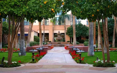 Tempe Mission Palms, a Destination by Hyatt Hotel