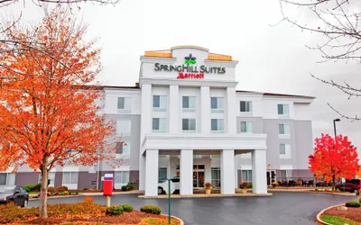 SpringHill Suites by Marriott Pittsburgh Monroeville