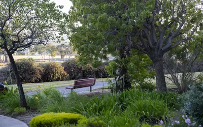 Courtyard San Francisco Airport Burlingame