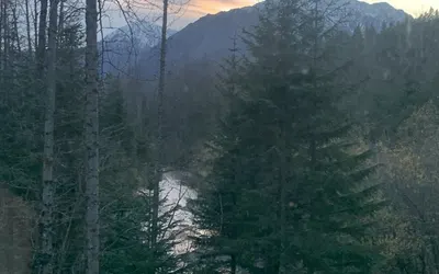 Bear Bottoms at Salmon Creek