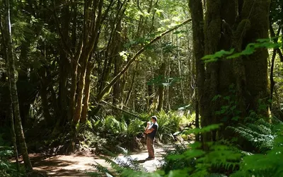 Wander Camp Olympic