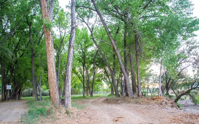 Riverwood Resort on the Gunnison