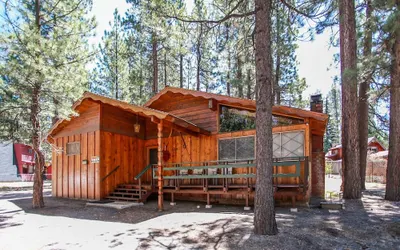 Avalon Hide OUT #1336