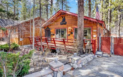 Cozy Bear Pines #2465