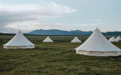 Yellowstone Glamping