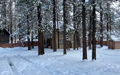 Rincon Cabin