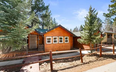 Pine Forest Cabin