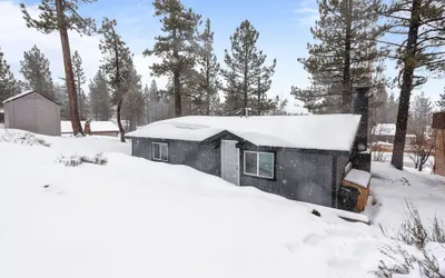 Bear Paw Cabin