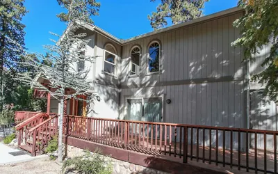 The Treehaus