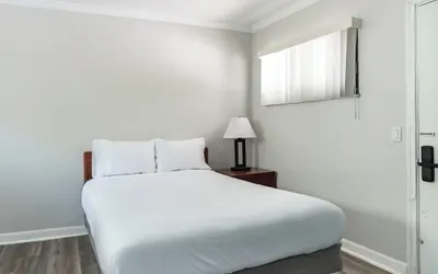 Stylish Downtown Detroit Apartment for 2 With Wifi