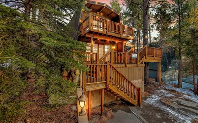 Big Cub Cabin #2521