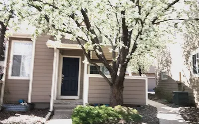 Casa de gato