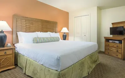 Tropicana Condos