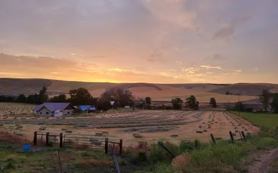 8 Mile Farm B&B