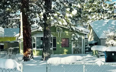 A Beary Cute Cabin