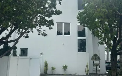 Oasis