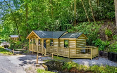 2bdrm Cabin 4 Gburg Pet Friendly Firepit Games