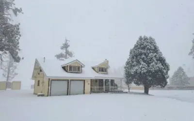 Bunny's Ranch