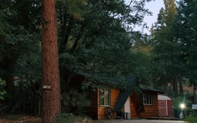 Owl Cabin