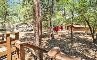 Bear Forest Cabin #2553