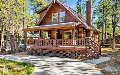 Cub's Cabin #2561