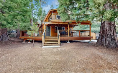 Primrose Cabin #709