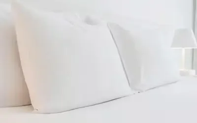 Wingate By Wyndham Jackson