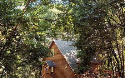 Cheerful Two Bdrm Cabin With Hot Tub & Pet Friendly