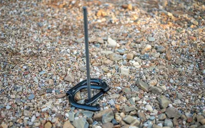 The Pickleball Pines