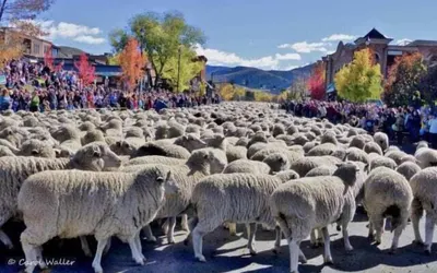 Sv113 - Walk to Lifts & Town - Hot Tub & Pool