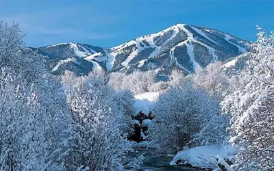 #215a-great Location on the Bike/ski Path With Garage: 10 Minute Walk to Town & Lifts