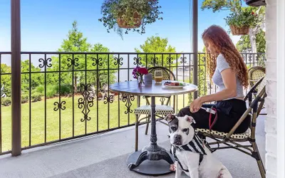 Jubilee Suites Boutique B&B