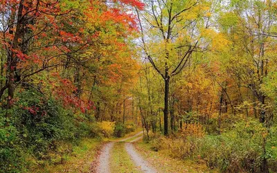 The 312 House A Boho Retreat Hocking Hills
