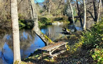 Quail Run River View Cottage