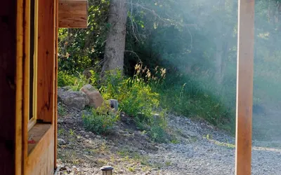 Cozy Cabin Retreat in Midway