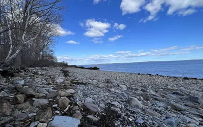High Tide Inn