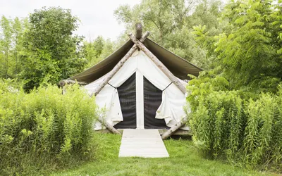 Firelight Camps