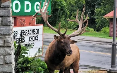 Rolling Hills Lodge