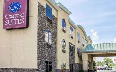 Comfort Suites Perrysburg - Toledo South