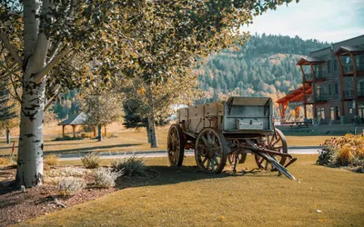 The Lodge at Bronze Buffalo Ranch