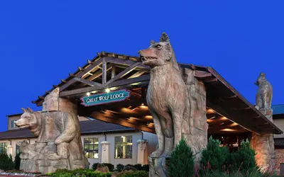 Great Wolf Lodge Grapevine