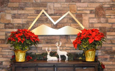 The Lodge at Flat Rock