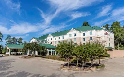 Hilton Garden Inn Houston/The Woodlands