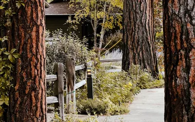 Bridge Street Cottages