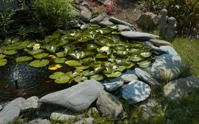 Gardenview Bed and Breakfast