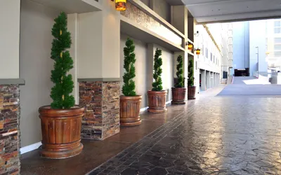 Jockey Club Suites