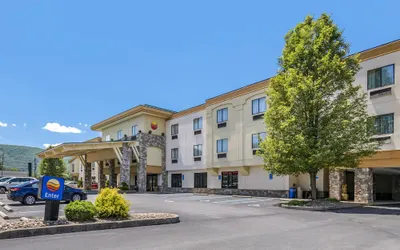 Comfort Inn Williamsport