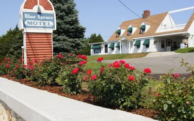 Blue Spruce Motel & Townhouses