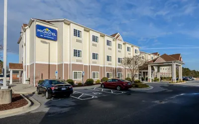 Microtel Inn & Suites by Wyndham Greenville/University Medic